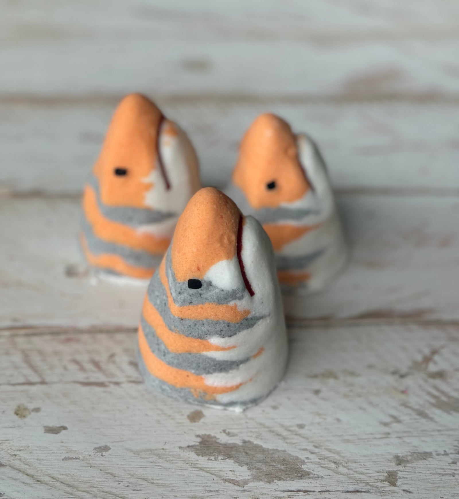 IMG_2781_1600x.jpg?v=1723816578